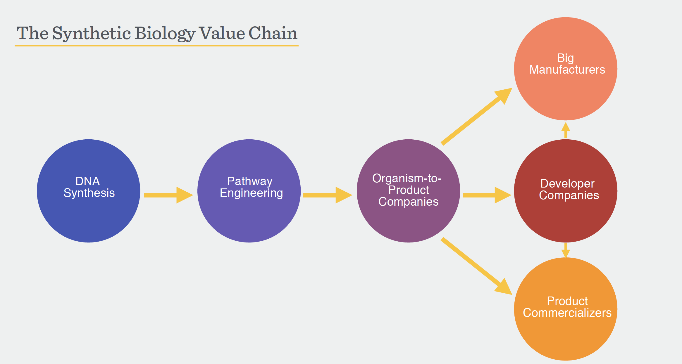 Mapping the SynBio Market Landscape